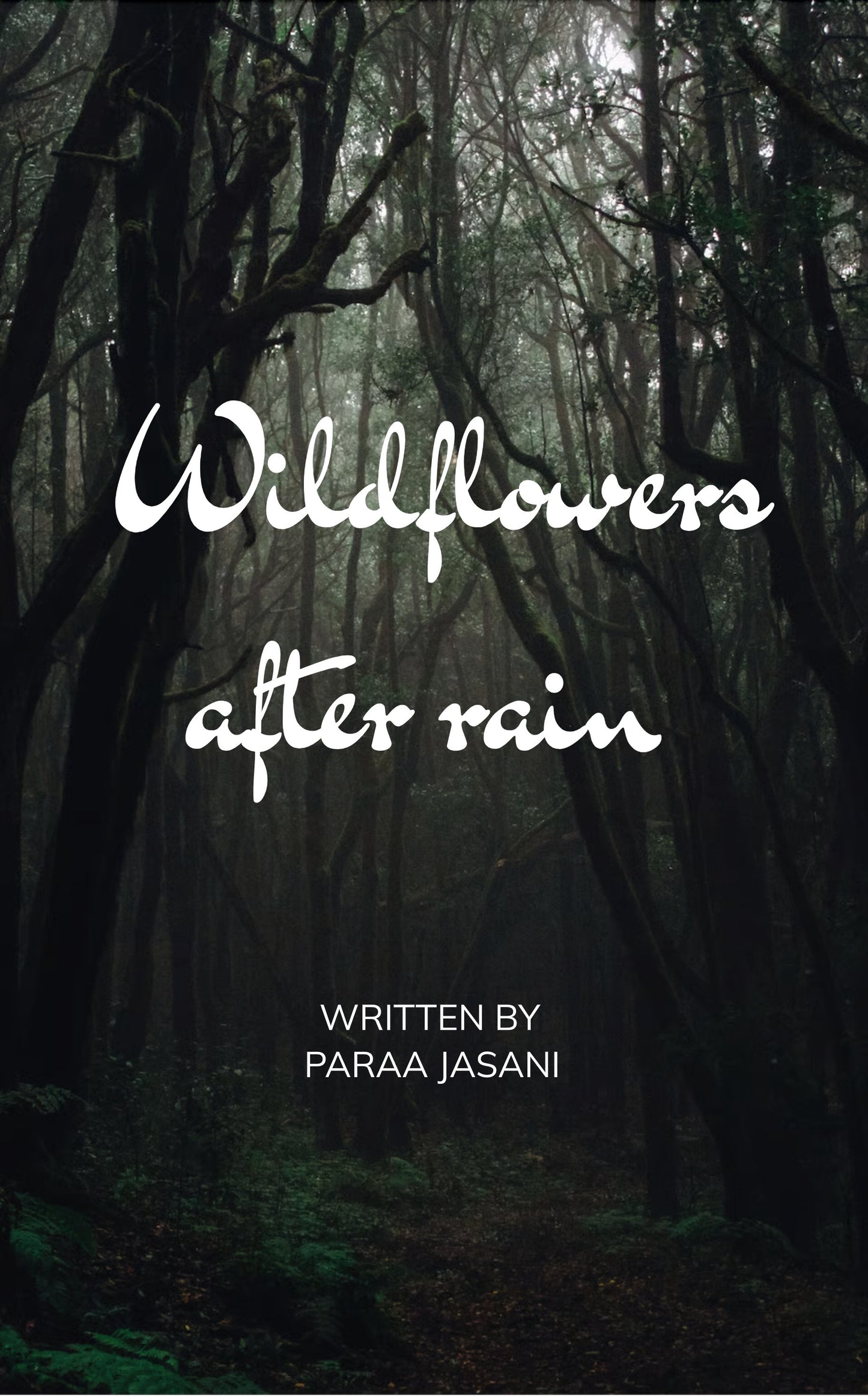 Wildflowers after rain
