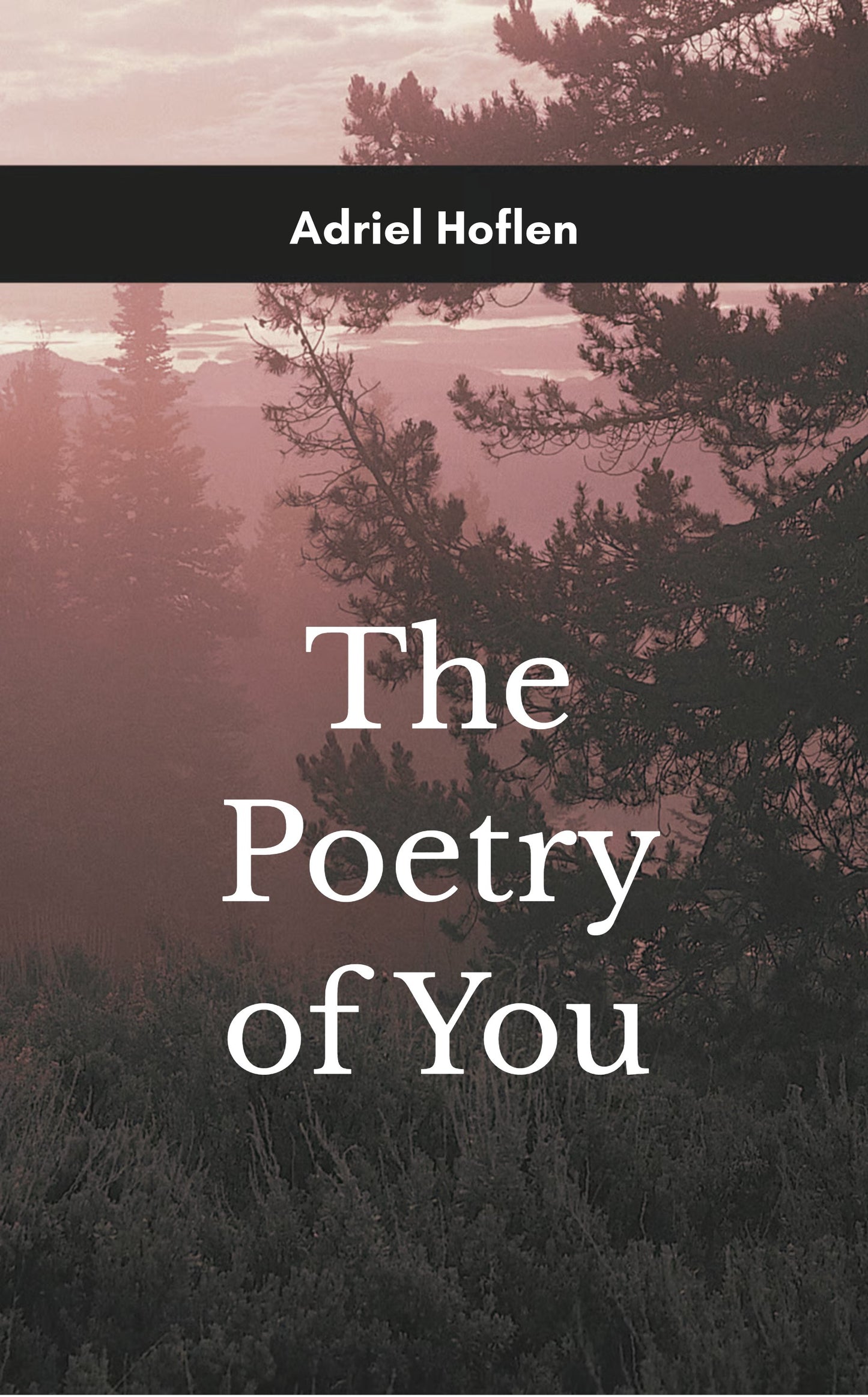 The Poetry of You
