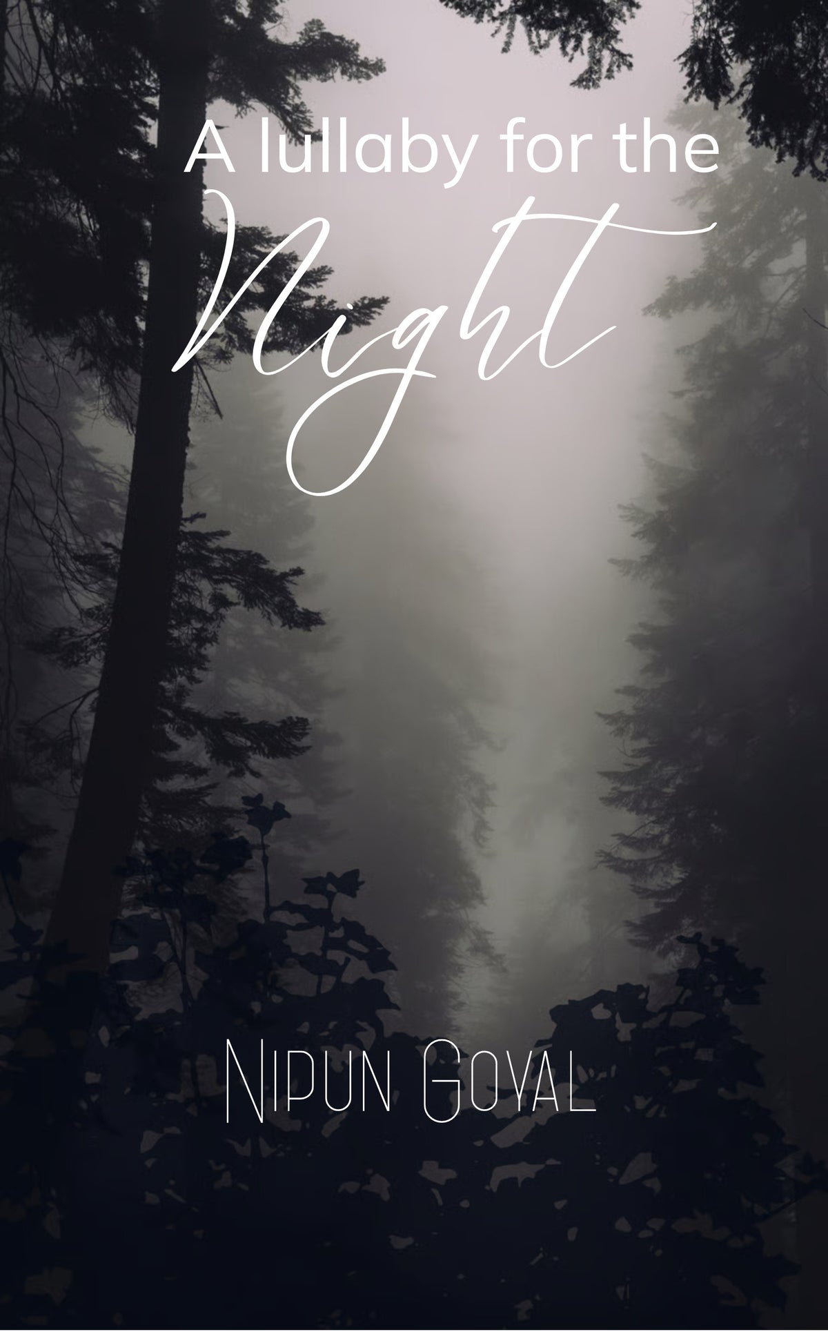 A Lullaby for the Night