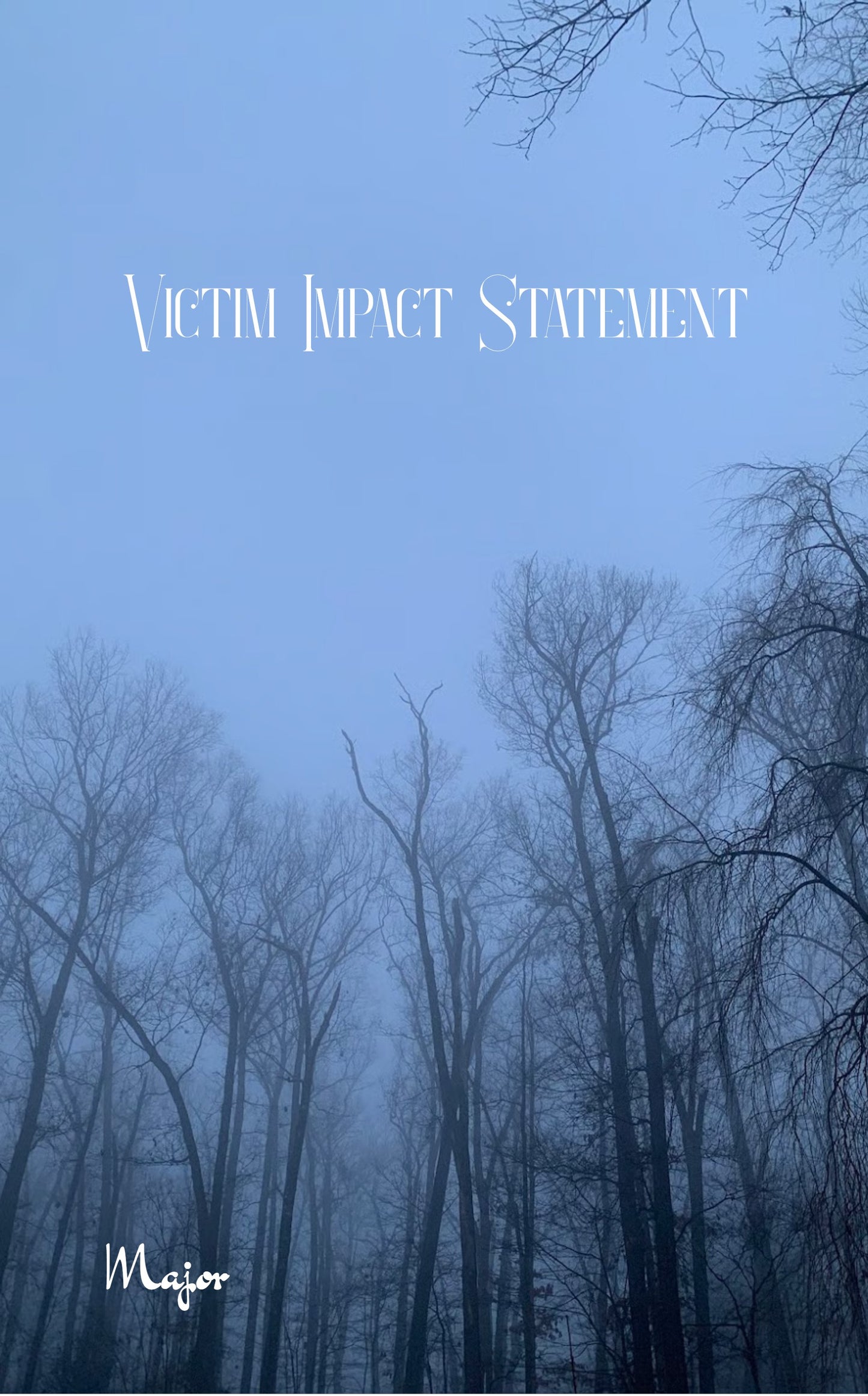 Victim Impact Statement