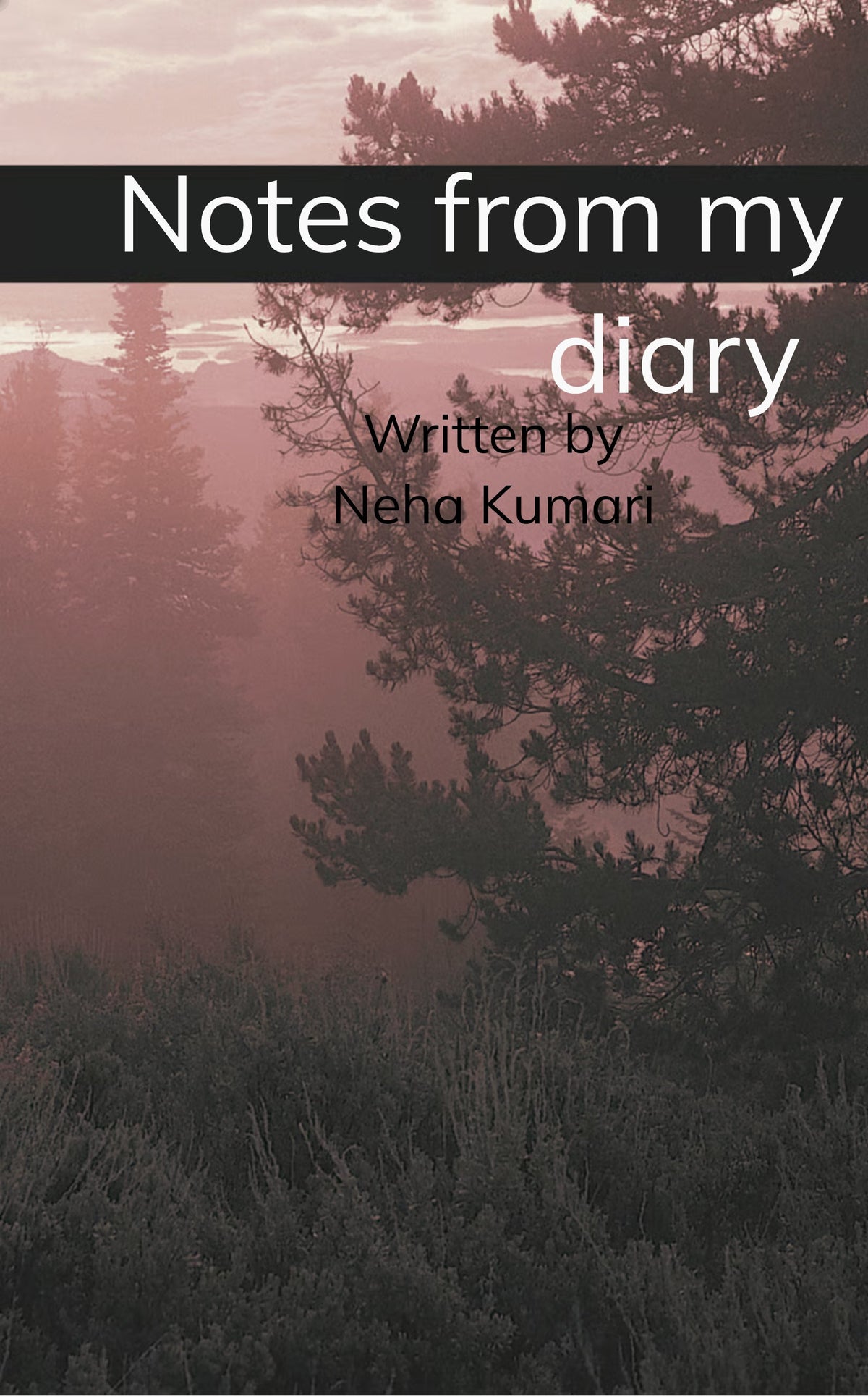 Notes from my diary
