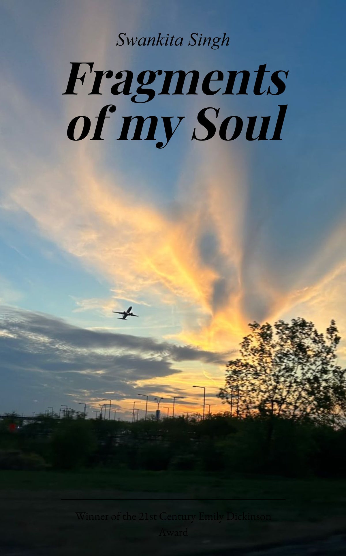 Fragments of My Soul