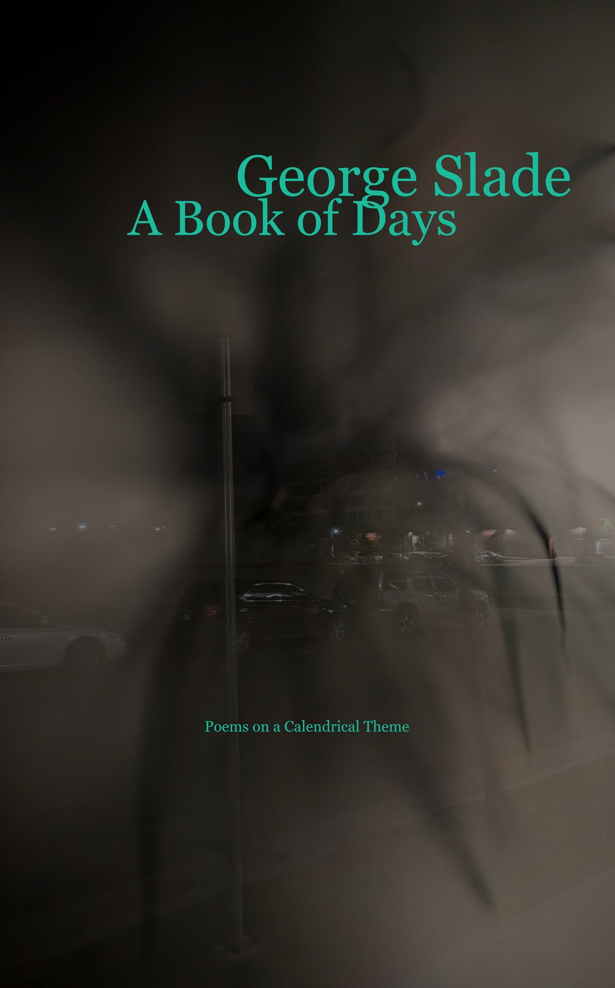 A Book of Days