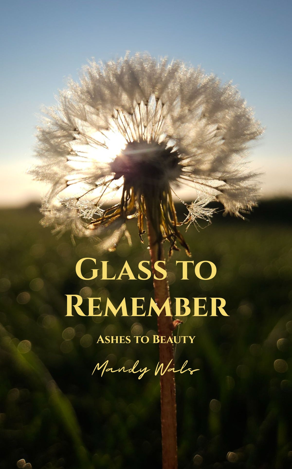 Glass to Remember